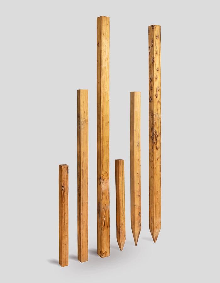 Poteaux carrés, sciés brutement, sommet droit, en bois de robinier