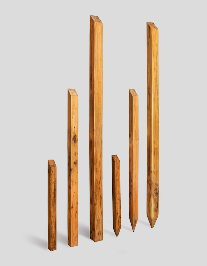 Poteaux carrés, bruts de sciage, biseautés en haut, en bois de robinier