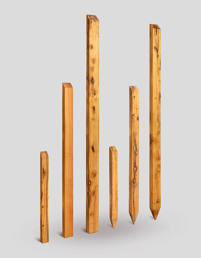 Poteaux rectangulaires (à bords biseautés), sciés brutement, biseautés en haut, en bois de robinier