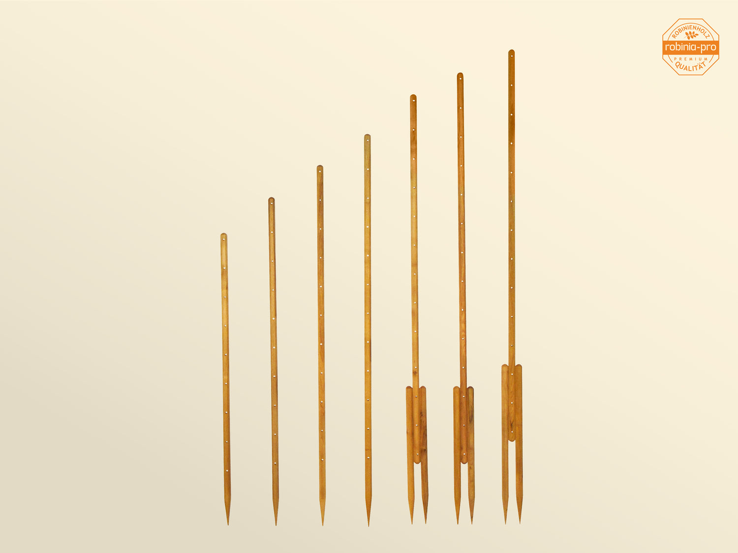 BÂTONNETS DE TOMATES robinia-pro