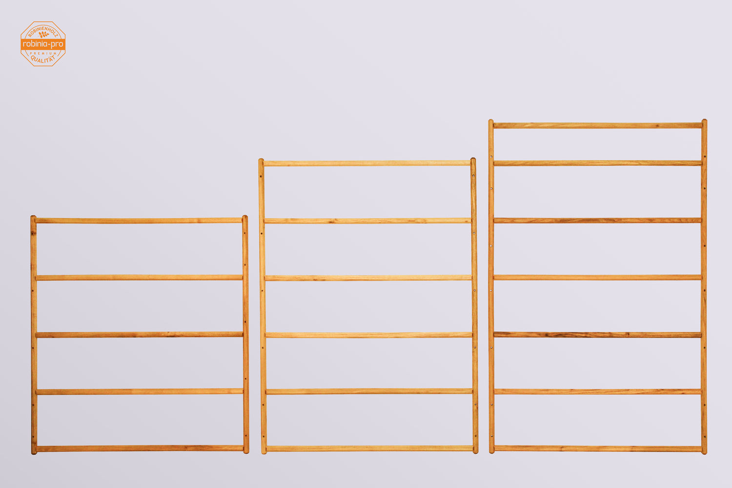 robinia-pro Treillis pour vigne / espalier pour arbres fruitiers – Élément