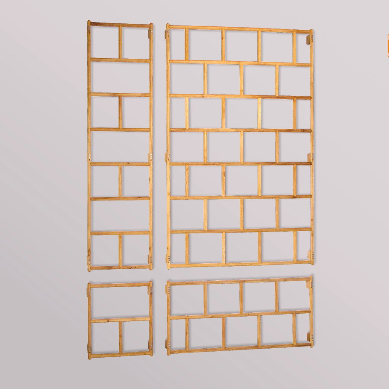 treillis mural Robinia-Pro classique