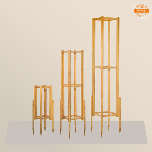 Support d'arbre robinia-pro