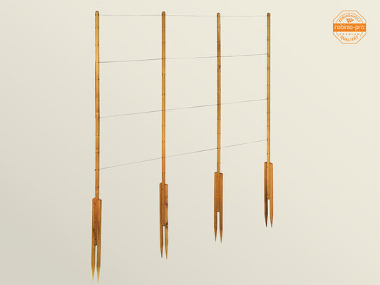 Support pour haricots grimpants robinia-pro