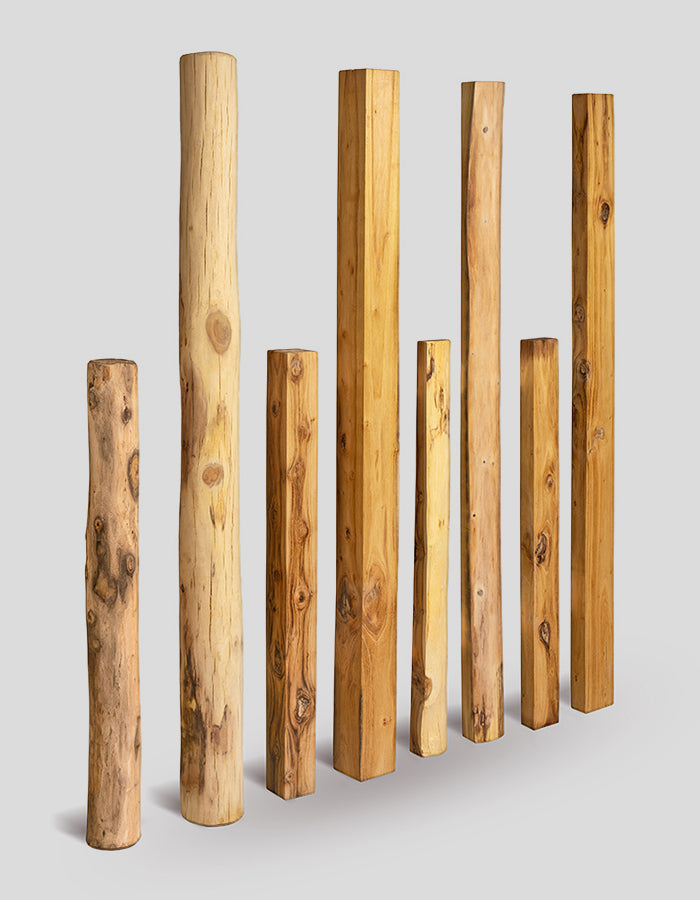 pilotis, pieux battus, poutres