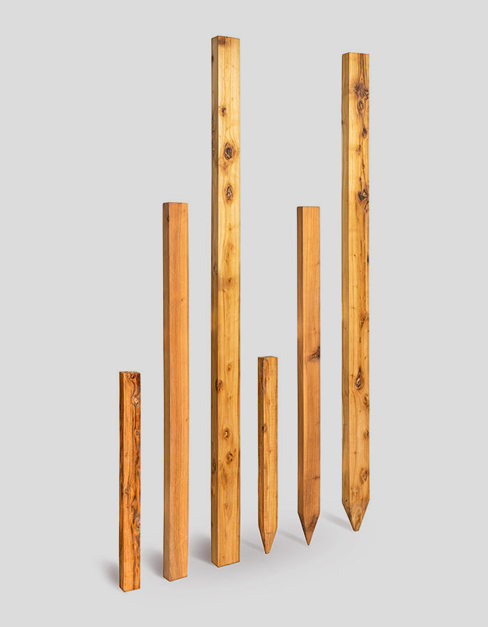 Poteaux rectangulaires (à bords biseautés), sciés brutement, sommet droit, en bois de robinier