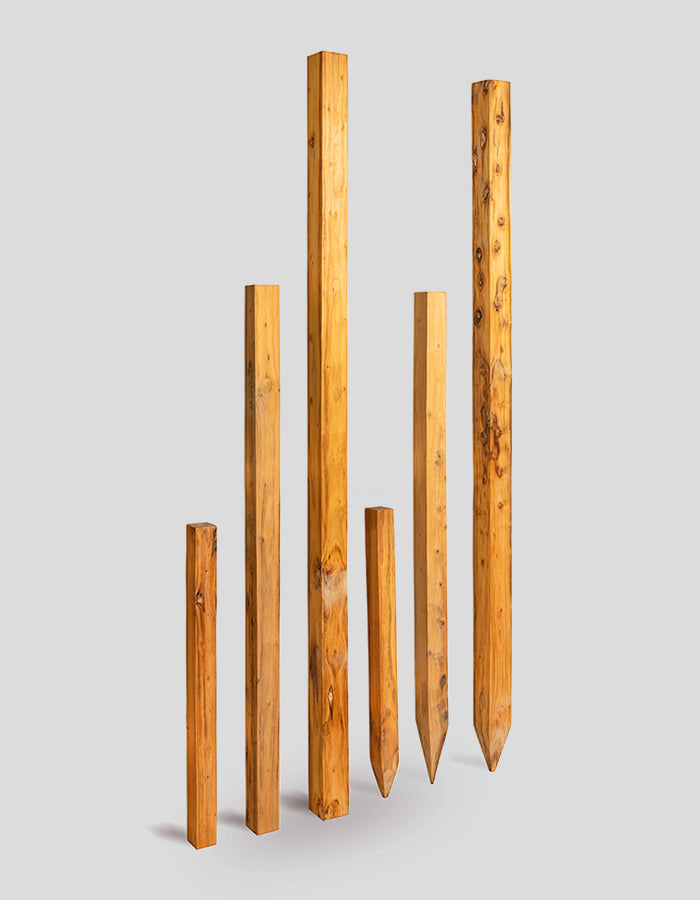 Poteaux carrés, poncés, sommet droit, en bois de robinier