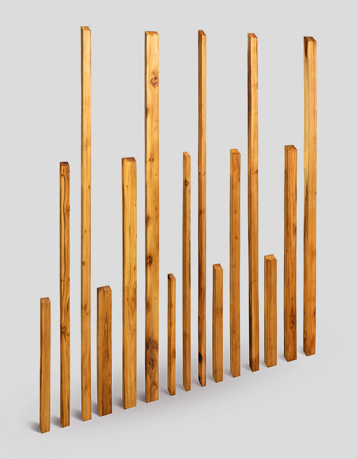 Poteaux de clôture carrés, poncés, à extrémités biseautées, en bois de robinier