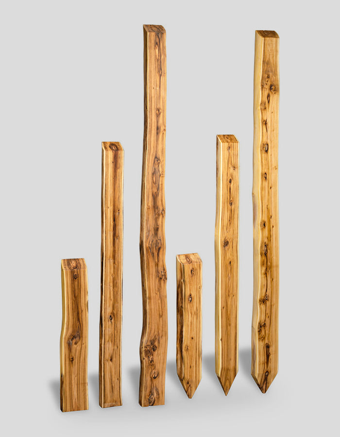 Poteaux Bonanza (non taillés), bruts, biseautés en haut, en bois de robinier