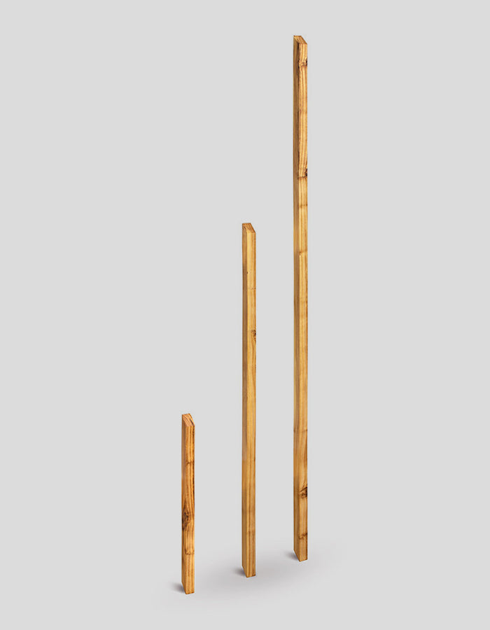 Poteaux de clôture carrés, rabotés et chanfreinés, extrémités biseautées, en bois de robinier