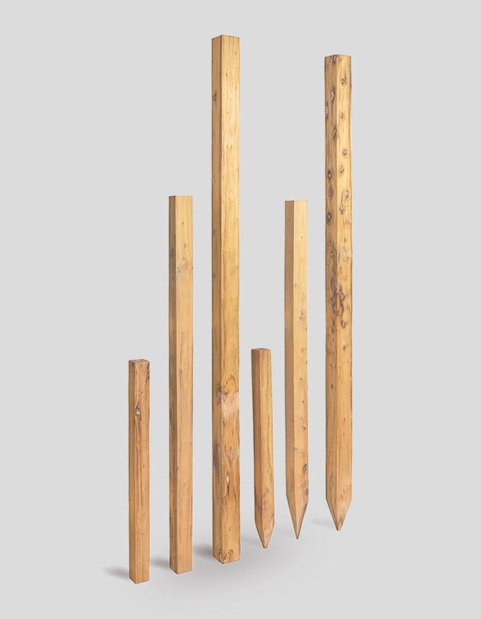 Poteaux carrés, rabotés et chanfreinés, droits au sommet, en bois de robinier