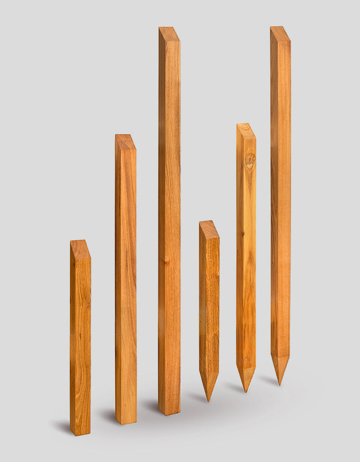 Poteaux carrés, rabotés et chanfreinés, biseautés en haut, en bois de robinier