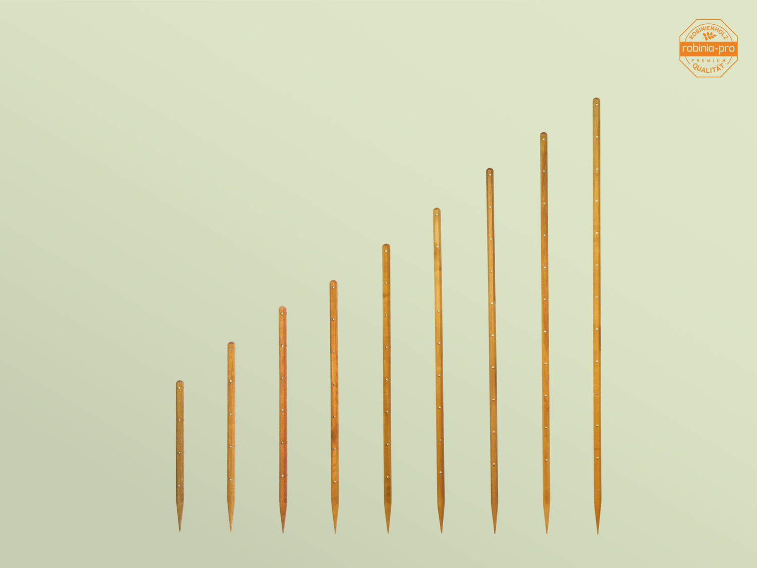 tuteur en bois Robinia-Pro