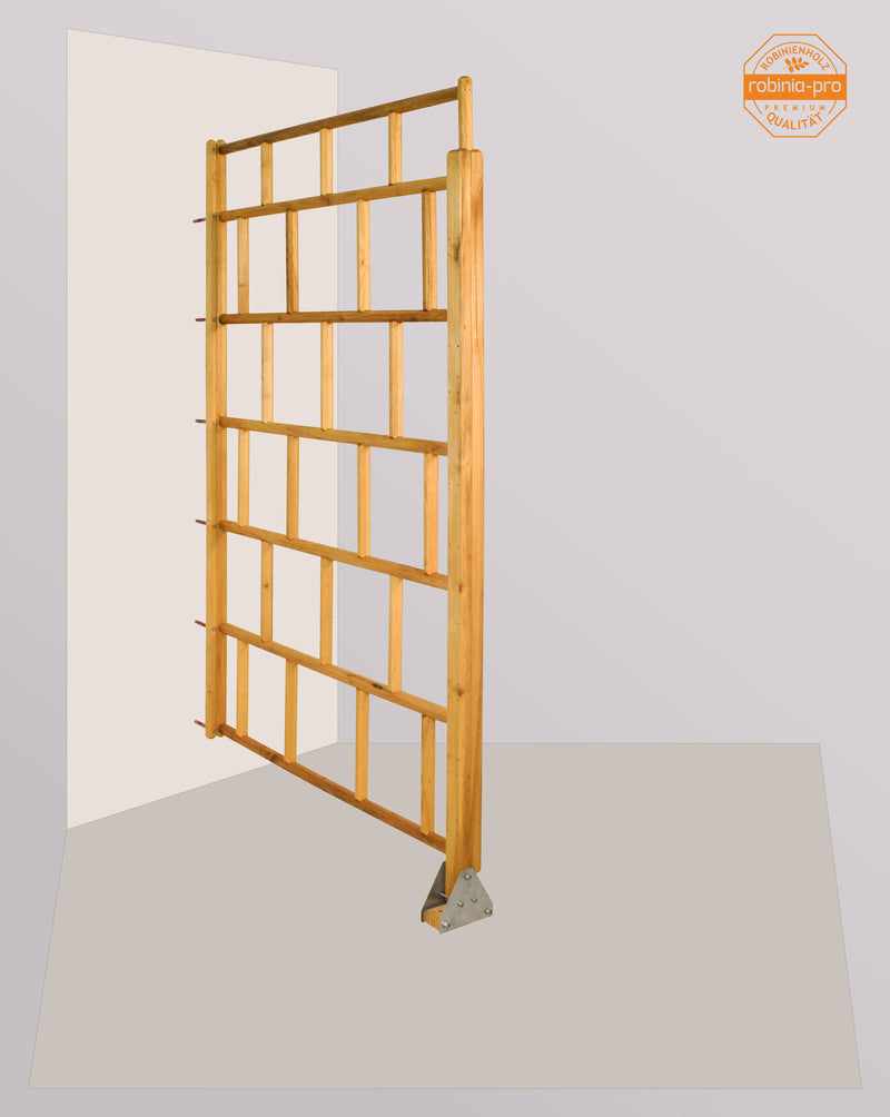 Panneau de clôture robinia-pro « GITTERZAUN classic »