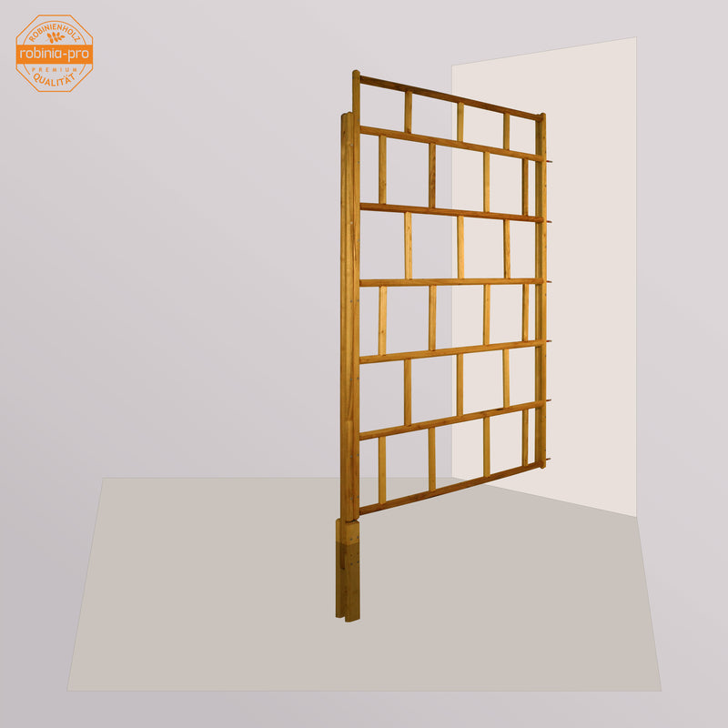 Panneau de clôture robinia-pro « GITTERZAUN classic »