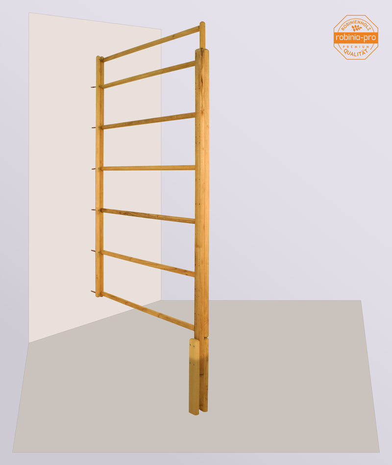 Panneau de clôture robinia-pro « ZAUNFELD style »