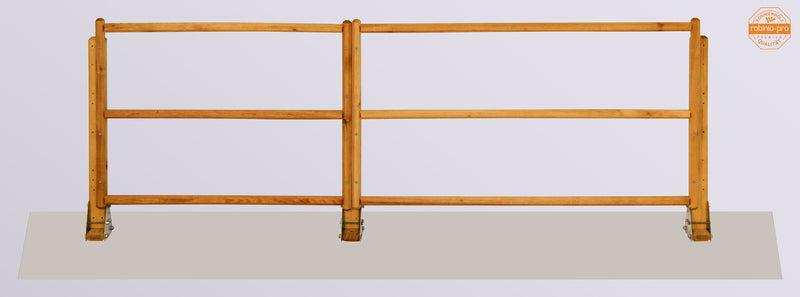 Panneau de clôture robinia-pro « ZAUNFELD style »