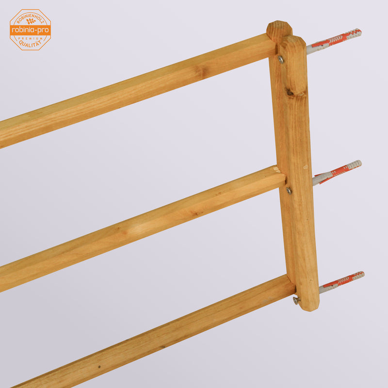Panneau de clôture robinia-pro « ZAUNFELD style »