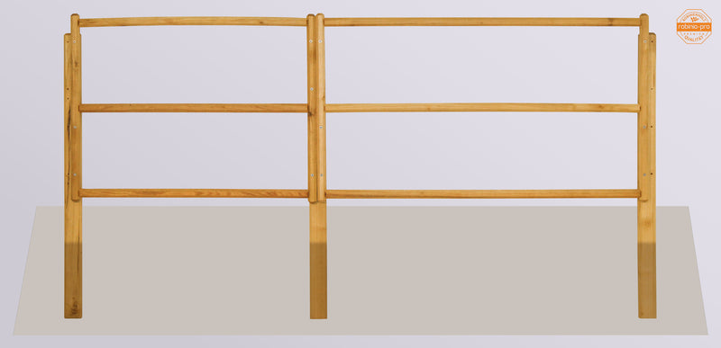 Panneau de clôture robinia-pro « ZAUNFELD style »