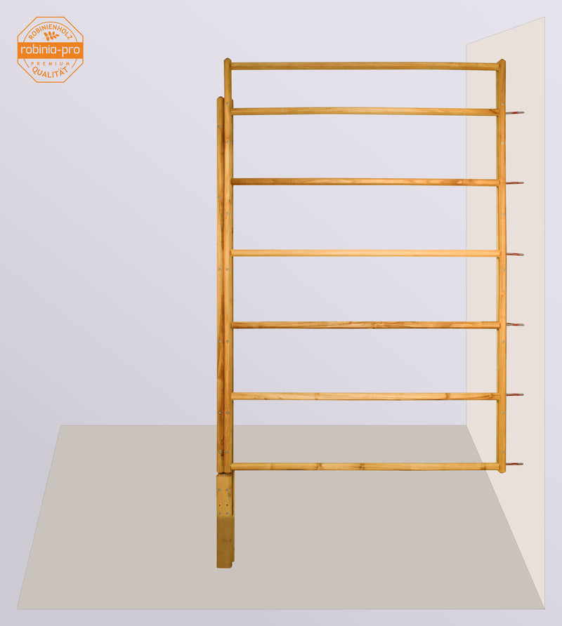 Panneau de clôture robinia-pro « ZAUNFELD style »