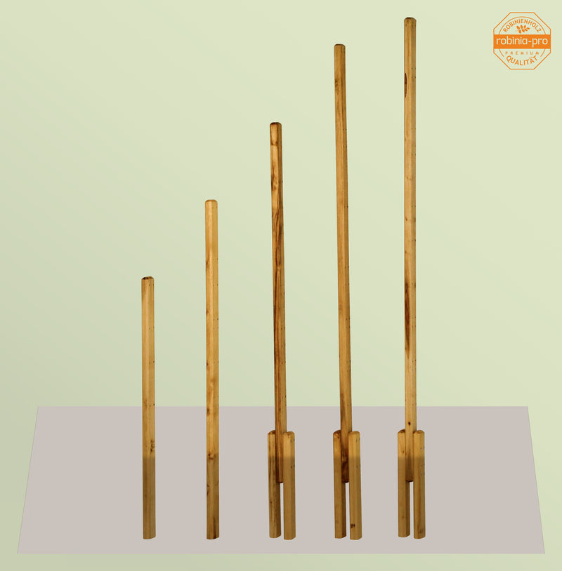Panneau de clôture robinia-pro « GITTERZAUN classic »