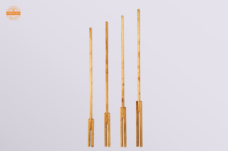 robinia-pro Treillis pour vigne / espalier pour arbres fruitiers – Élément