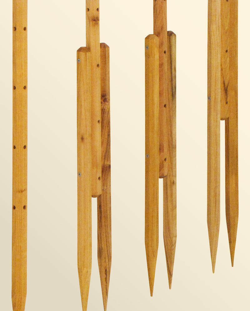 BÂTONNETS DE TOMATES robinia-pro