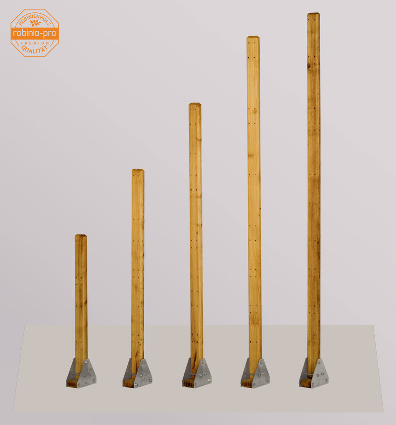 Panneau de clôture robinia-pro « STABZAUN »