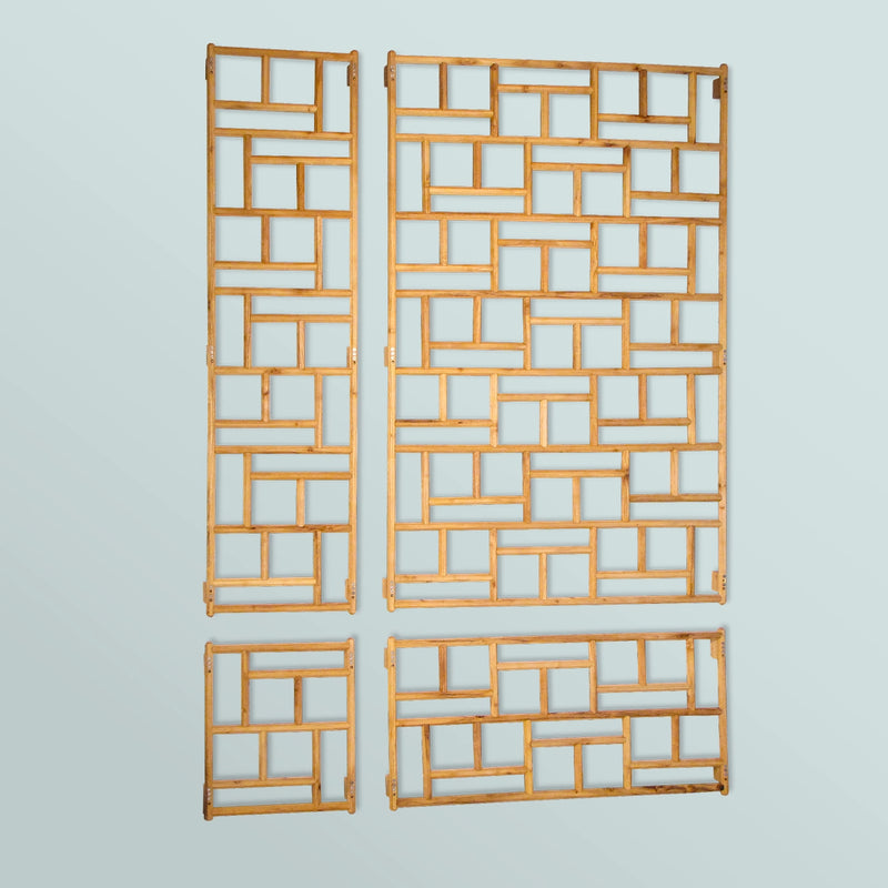 Treillis mural Robinia-Pro japonais 