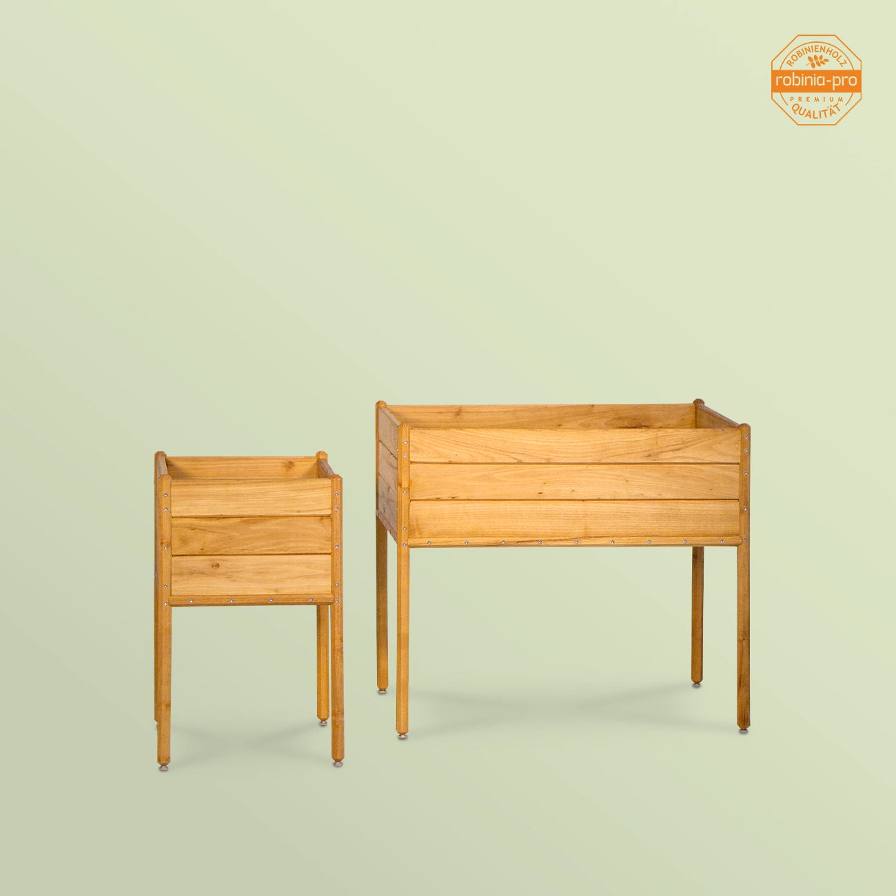 robinia-pro PLANTER SUR TIGES