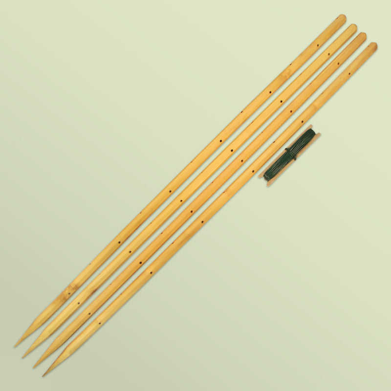 Supports robinia-pro pour pivoines, dahlias et autres plantes vivaces