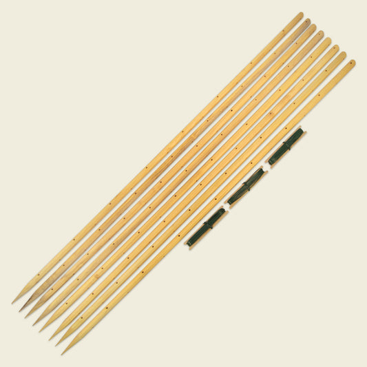 Arbres Robinia-Pro pour haricots