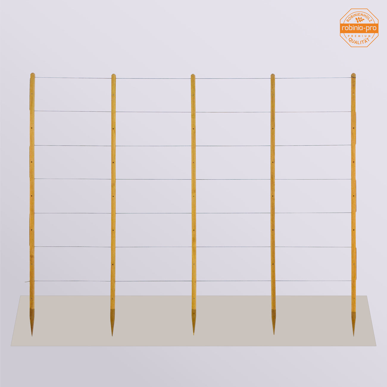 Arbres Robinia-Pro pour concombres