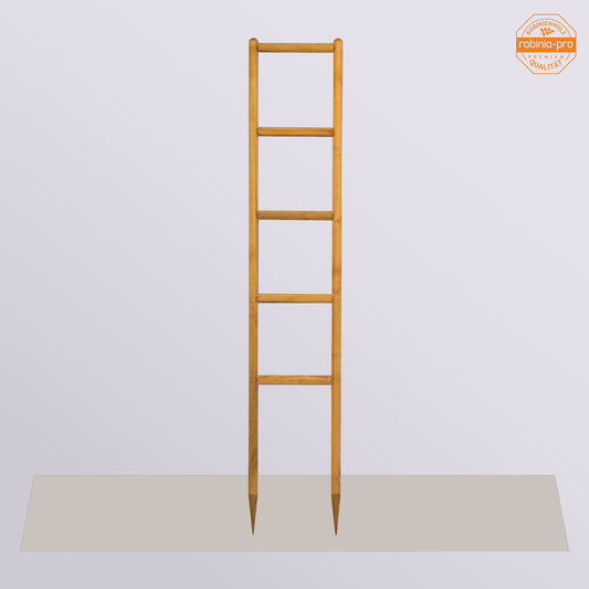 robinia-pro GRILLE ROSE