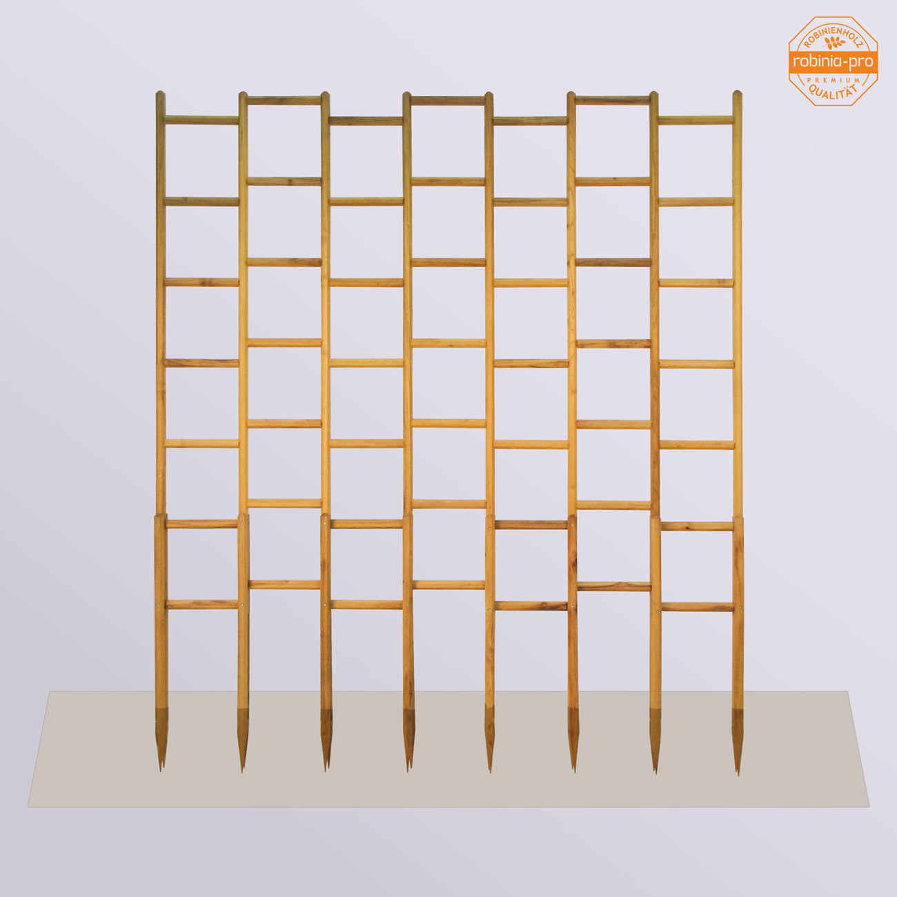 robinia-pro GRILLE ROSE