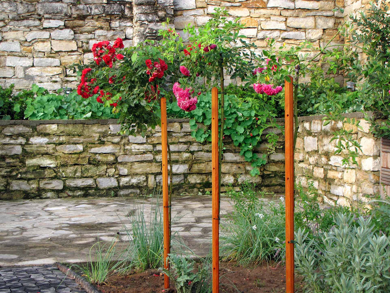 robinia-pro KIT DE SUPPORT POUR ARBRES