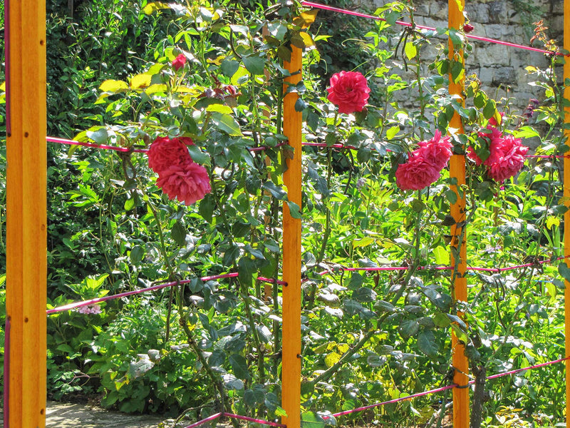 robinia-pro KIT DE SUPPORT POUR ARBRES