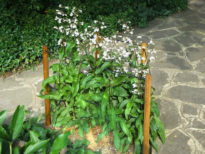 robinia-pro KIT DE SUPPORT POUR ARBRES