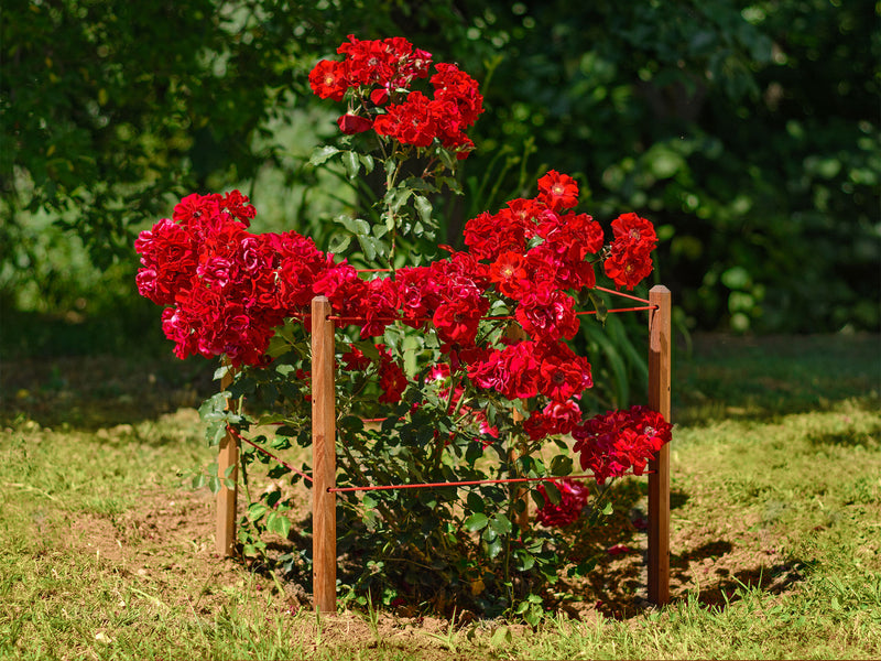 robinia-pro KIT DE SUPPORT POUR ARBRES